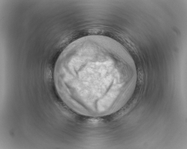 X0000114630375200911171015