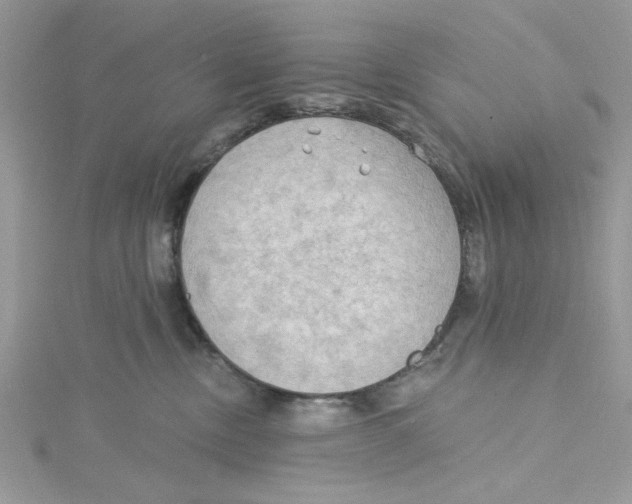 X0000114630378200911171015