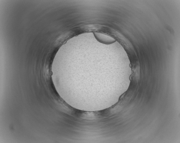 X0000114630381200911171015