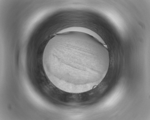 X0000114630383200911171015