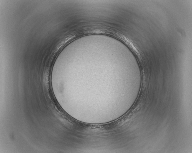 X0000114630386200911171014