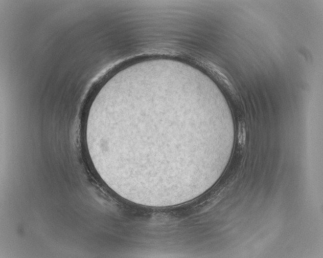 X0000114630388200911171014