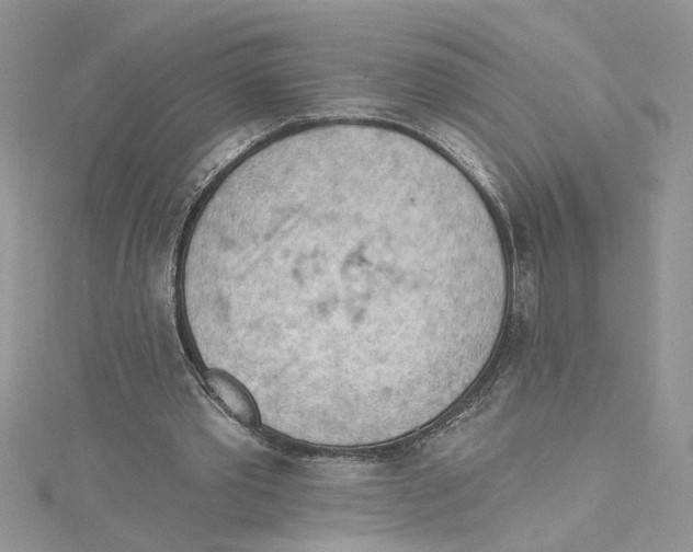 X0000114630389200911171014