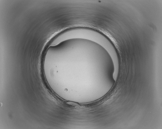 X0000114630391200911171014