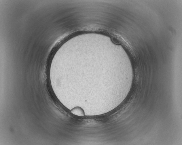 X0000114630392200911171014