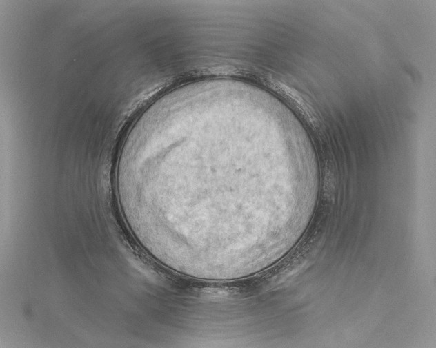 X0000114630394200911171014