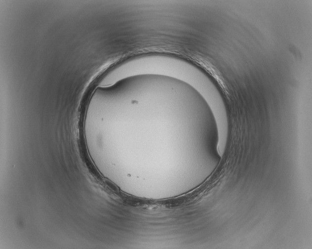 X0000114630395200911171014