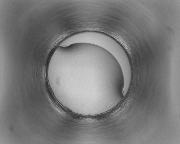 X0000114630397200911171014