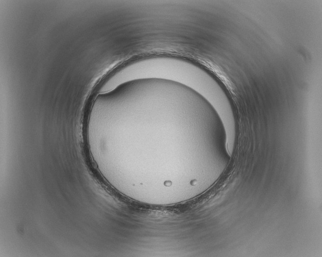 X0000114630399200911171014