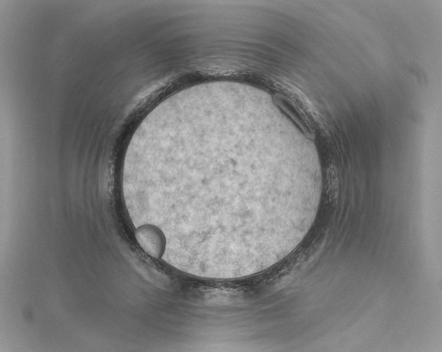 X0000114630400200911171014