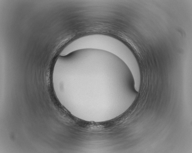 X0000114630403200911171014