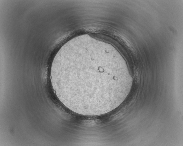 X0000114630404200911171014