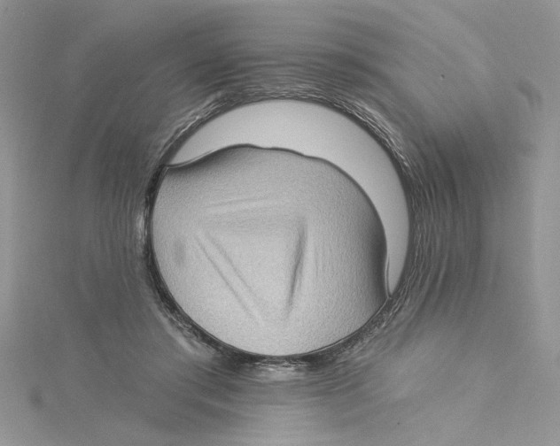 X0000114630405200911171014