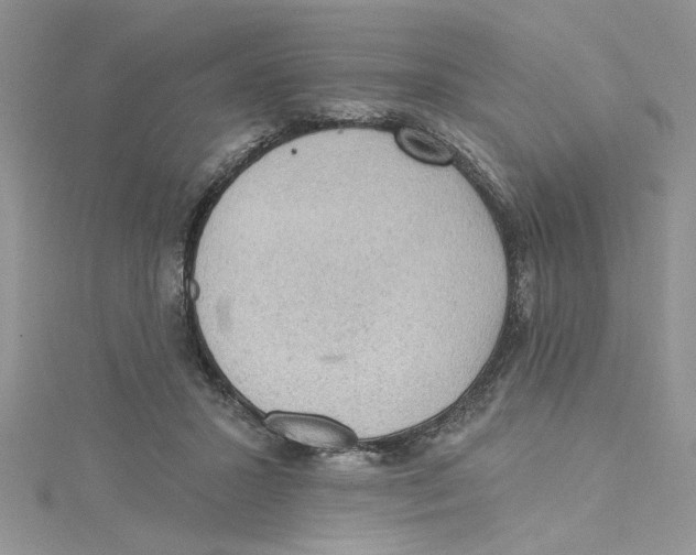 X0000114630407200911171014