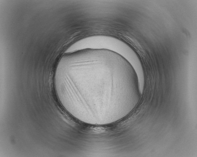 X0000114630409200911171014