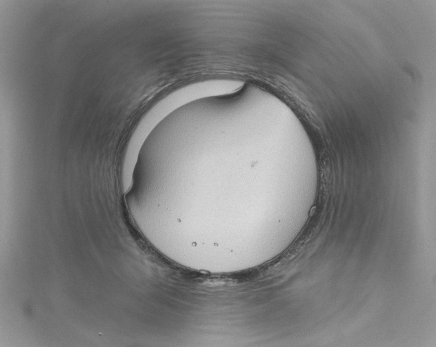 X0000114630415200911171014