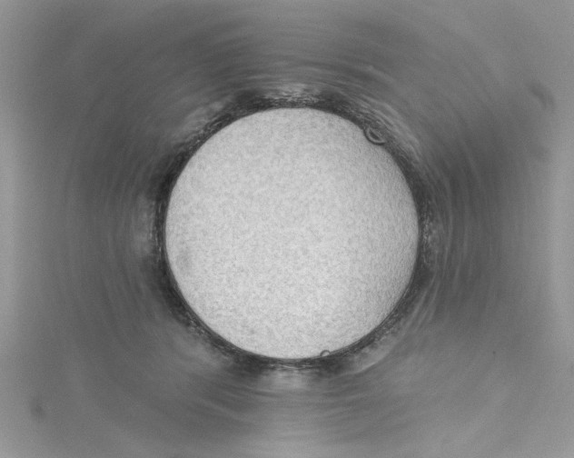 X0000114630416200911171014