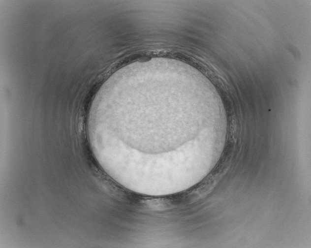 X0000114630417200911171014