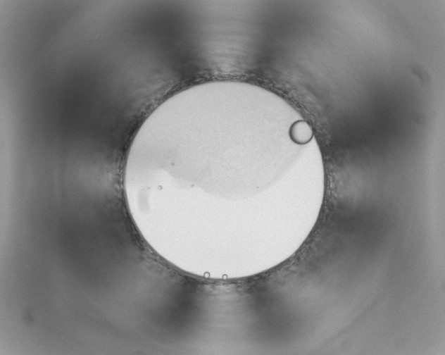 X0000114630419200911171014