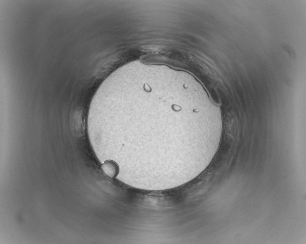 X0000114630420200911171014