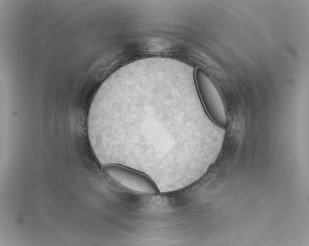 X0000114630421200911171014