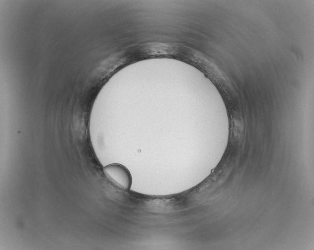 X0000114630422200911171014