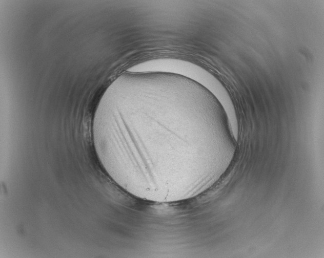 X0000114630425200911171014