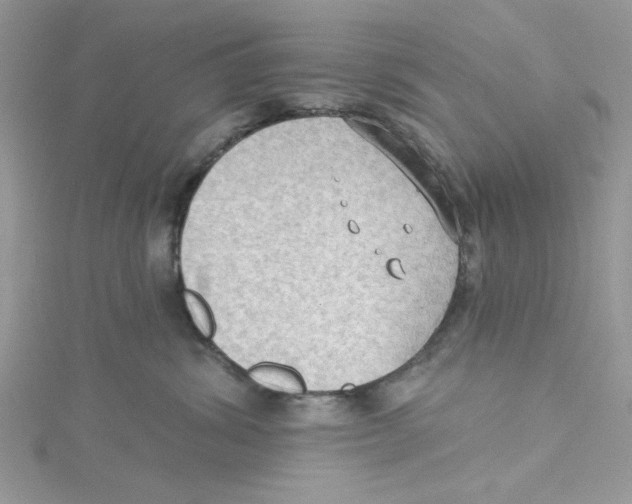 X0000114630428200911171014