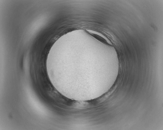 X0000114630429200911171014