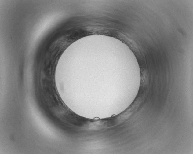 X0000114630430200911171014