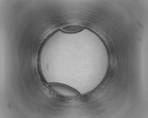 X0000114630434200911171013