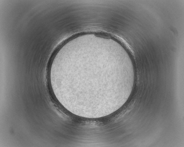 X0000114630439200911171013