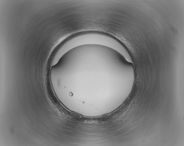 X0000114630440200911171013