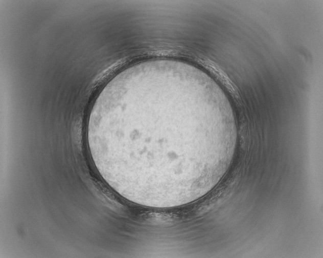 X0000114630442200911171013