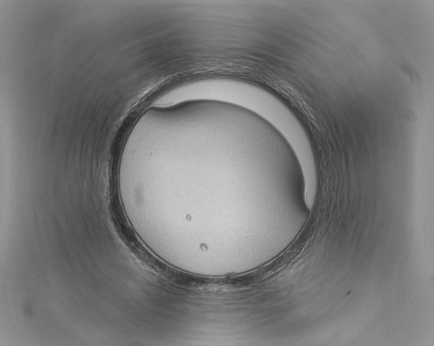 X0000114630444200911171013