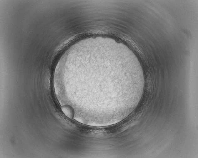 X0000114630446200911171013