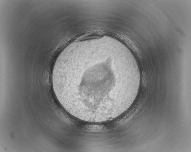 X0000114630449200911171013