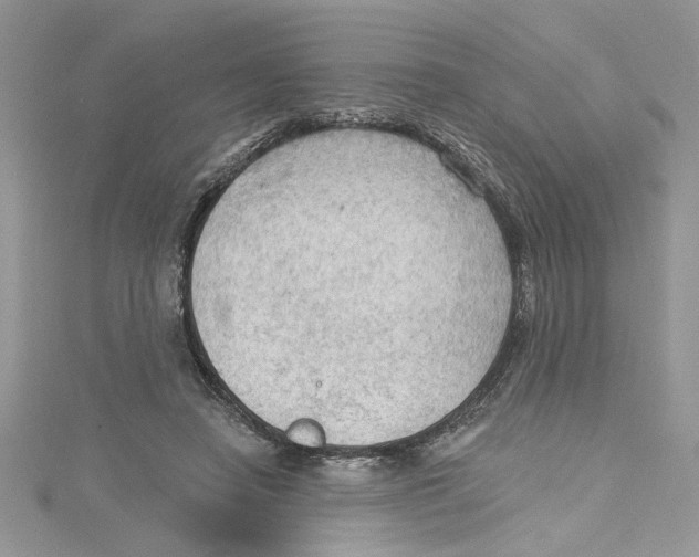 X0000114630450200911171013