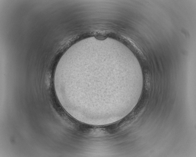 X0000114630451200911171013