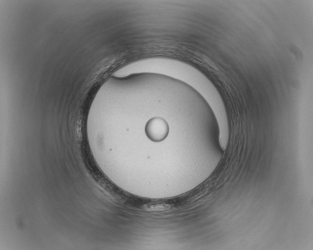 X0000114630452200911171013