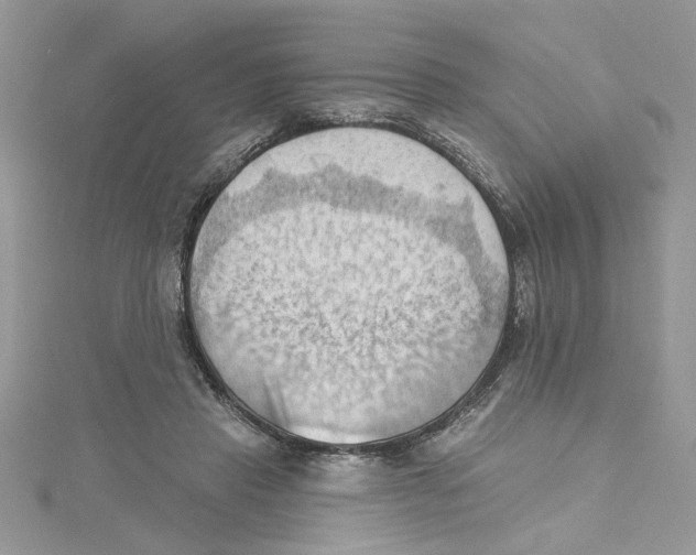 X0000114630453200911171013