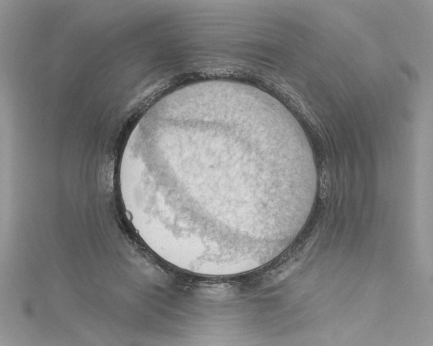 X0000114630454200911171013