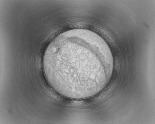 X0000114630457200911171013