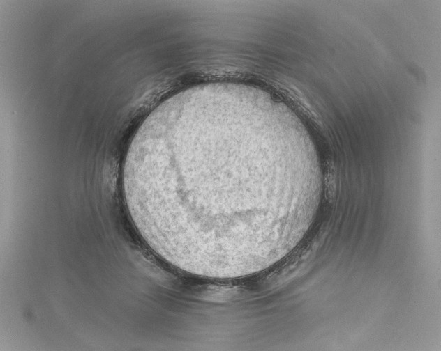 X0000114630458200911171013