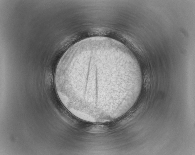 X0000114630459200911171013