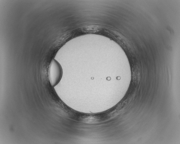 X0000114630460200911171013