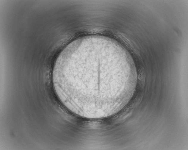 X0000114630462200911171013