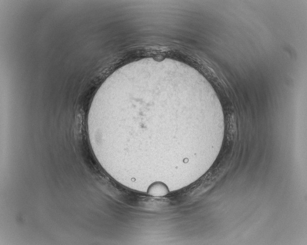 X0000114630463200911171013