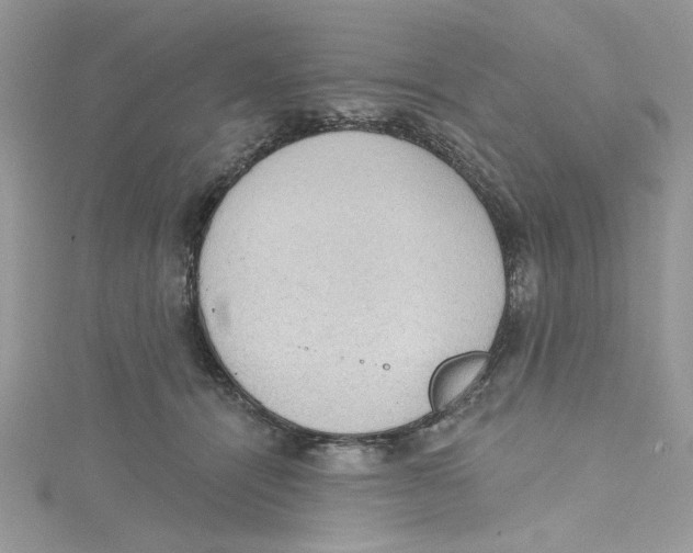 X0000114630464200911171013