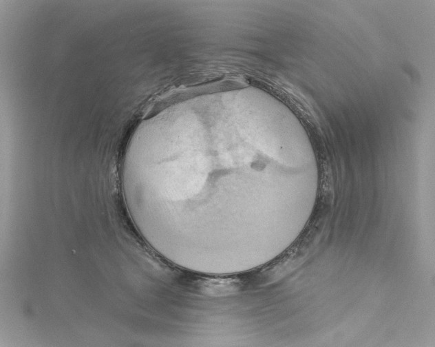 X0000114630465200911171013